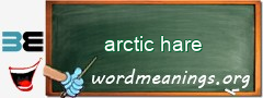 WordMeaning blackboard for arctic hare